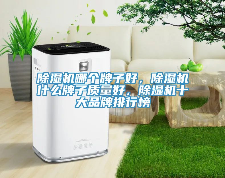 91看片网站哪個牌子好，91看片网站什麽牌子質量好，91看片网站十大品牌排行榜