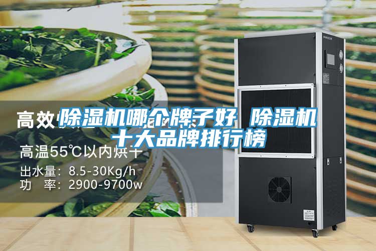 91看片网站哪個牌子好 91看片网站十大品牌排行榜