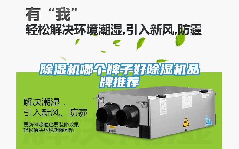 91看片网站哪個牌子好91看片网站品牌推薦