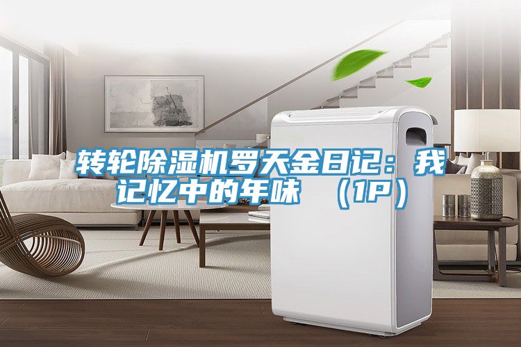 轉輪91看片网站羅天金日記：我記憶中的年味 （1P）