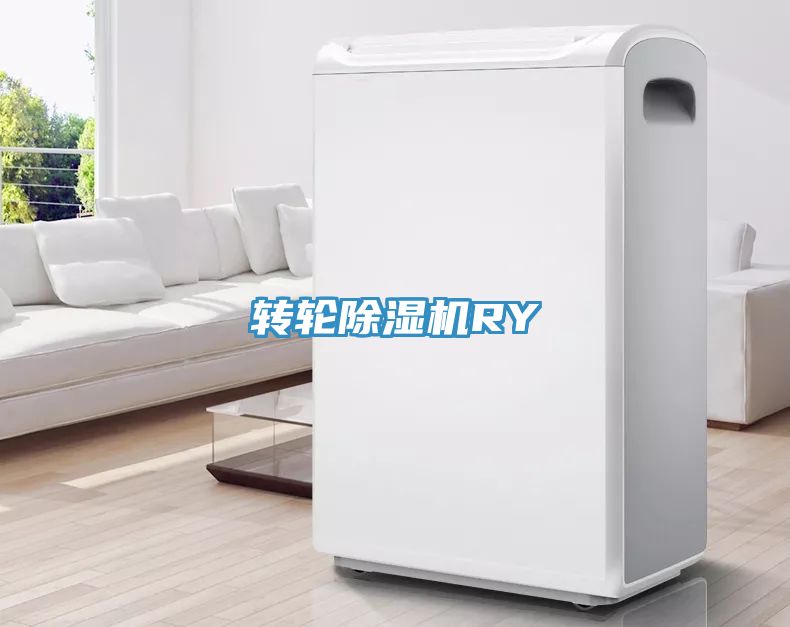 轉輪91看片网站RY