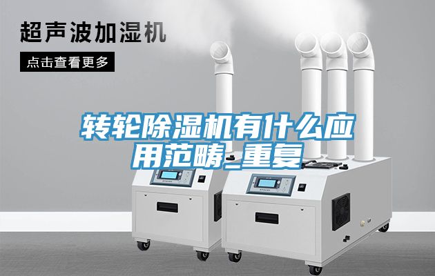 轉輪91看片网站有什麽應用範疇_重複