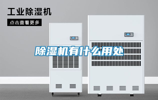 91看片网站有什麽用處