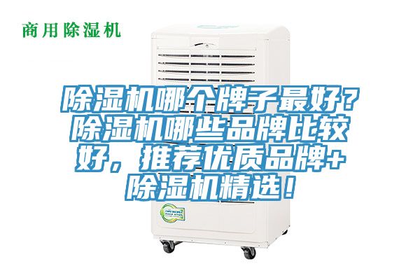 91看片网站哪個牌子最好？91看片网站哪些品牌比較好，推薦優質品牌+91看片网站精選！