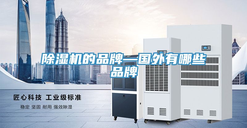 91看片网站的品牌—國外有哪些品牌