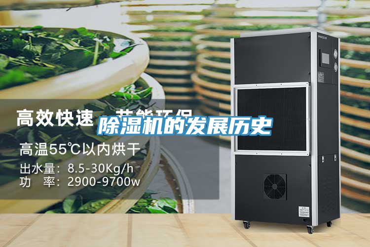 91看片网站的發展曆史
