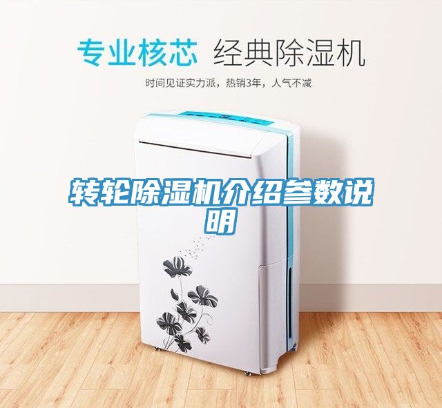 轉輪91看片网站介紹參數說明