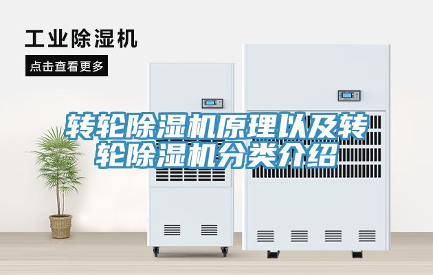轉輪91看片网站原理以及轉輪91看片网站分類介紹