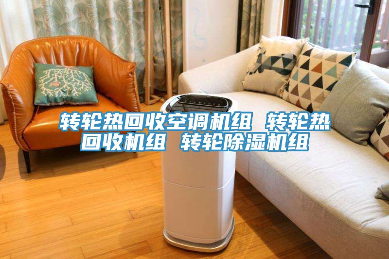 轉輪熱回收空調機組 轉輪熱回收機組 轉輪91看片网站組