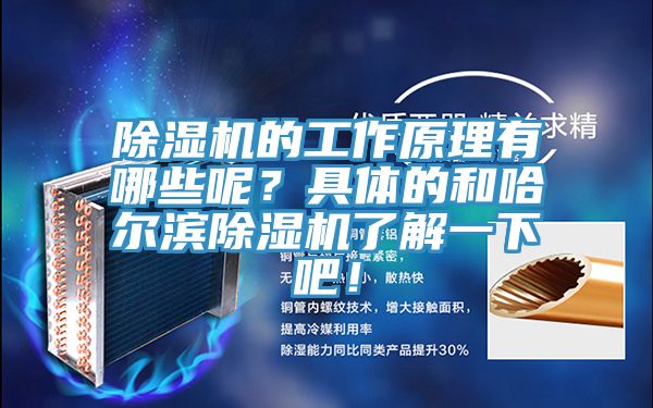 91看片网站的工作原理有哪些呢？具體的和哈爾濱91看片网站了解一下吧！