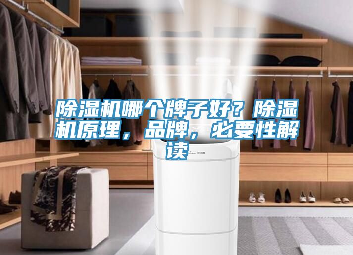 91看片网站哪個牌子好？91看片网站原理，品牌，必要性解讀