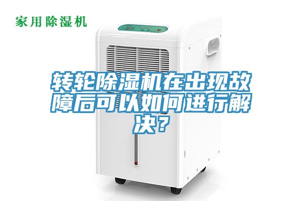 轉輪91看片网站在出現故障後可以如何進行解決？