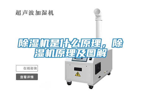 91看片网站是什麽原理，91看片网站原理及圖解