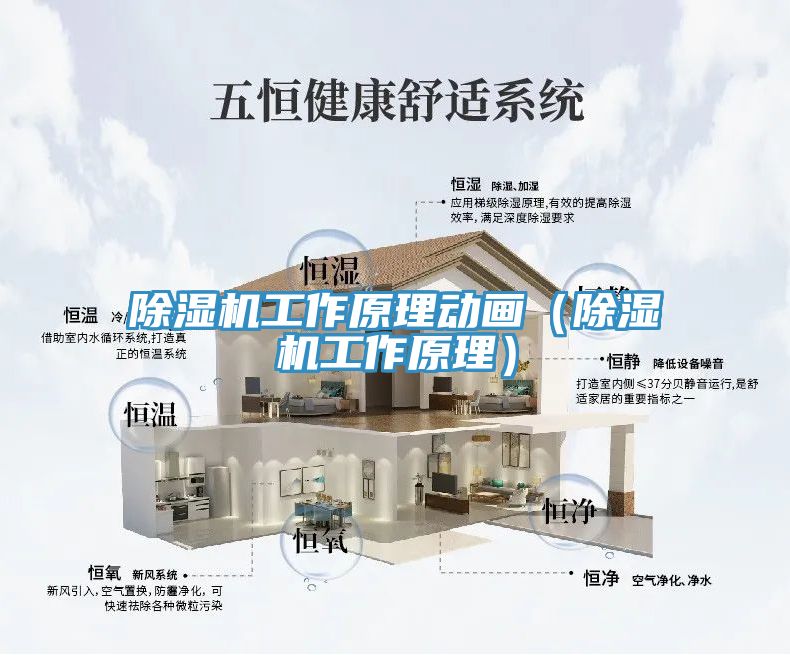 91看片网站工作原理動畫（91看片网站工作原理）