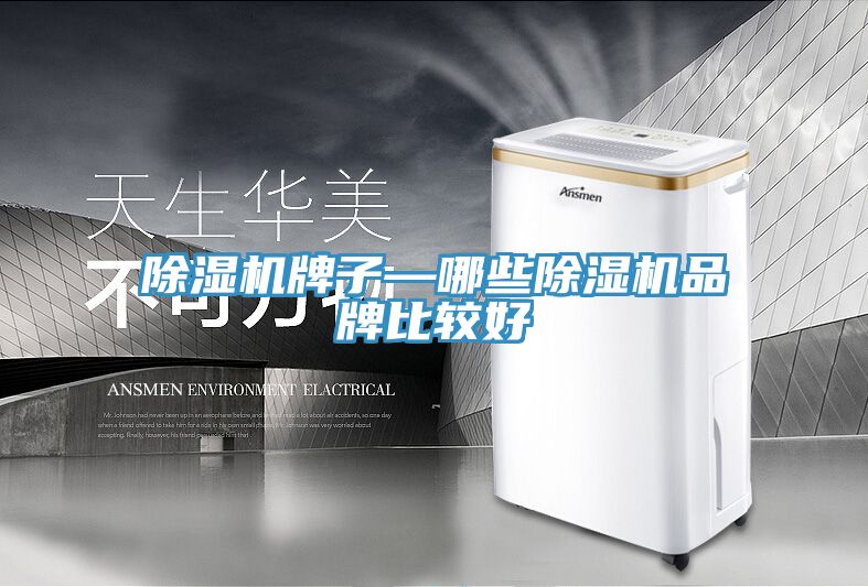 91看片网站牌子—哪些91看片网站品牌比較好