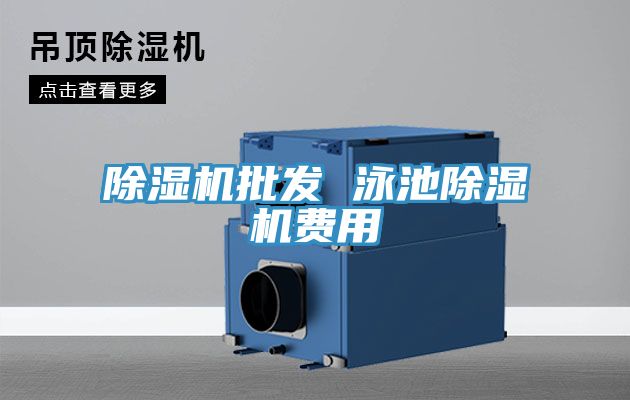 91看片网站批發 泳池91看片网站費用