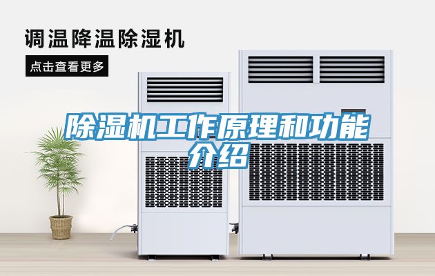 91看片网站工作原理和功能介紹