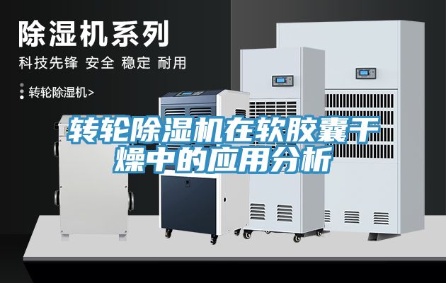 轉輪91看片网站在軟膠囊幹燥中的應用分析
