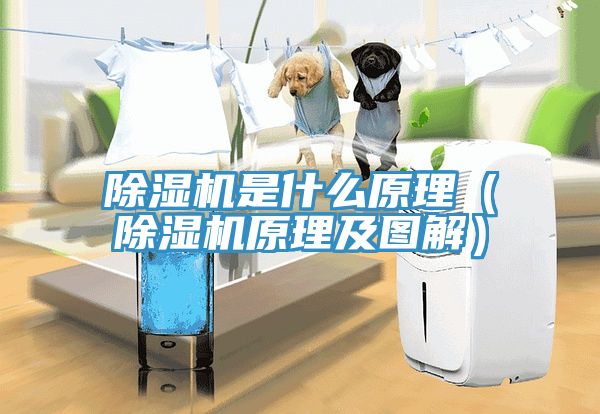 91看片网站是什麽原理（91看片网站原理及圖解）