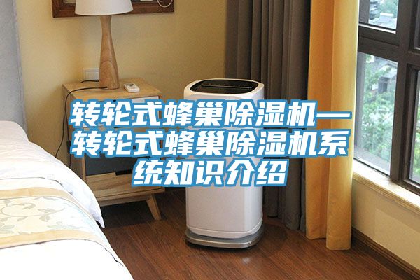 轉輪式蜂巢91看片网站—轉輪式蜂巢91看片网站係統知識介紹