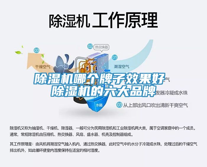 91看片网站哪個牌子效果好 91看片网站的六大品牌