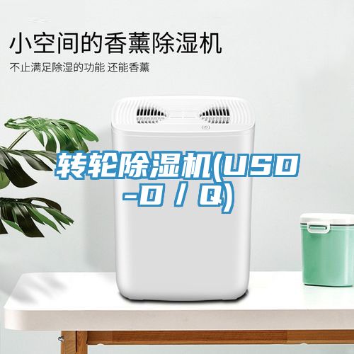 轉輪91看片网站(USD-D／Q)