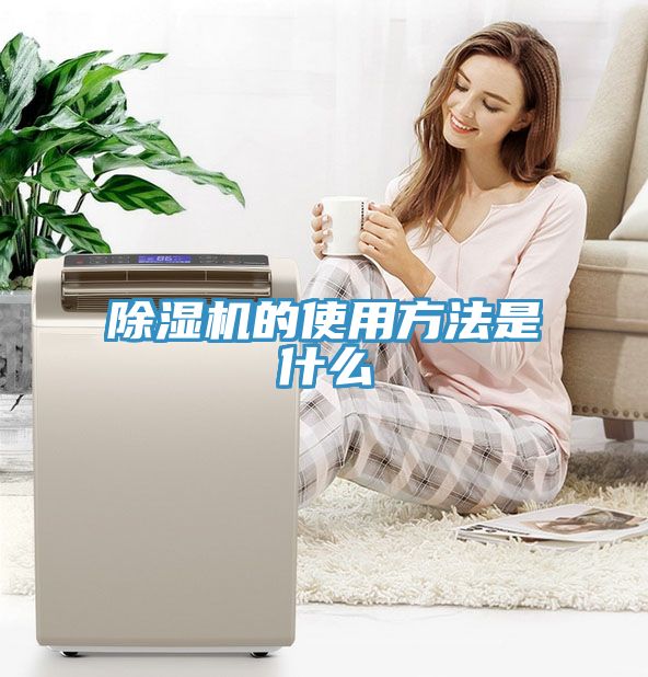 91看片网站的使用方法是什麽