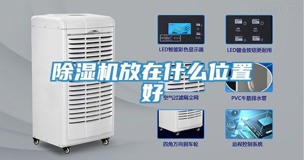 91看片网站放在什麽位置好
