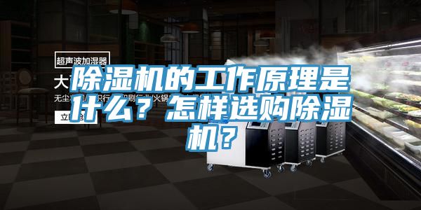 91看片网站的工作原理是什麽？怎樣選購91看片网站？