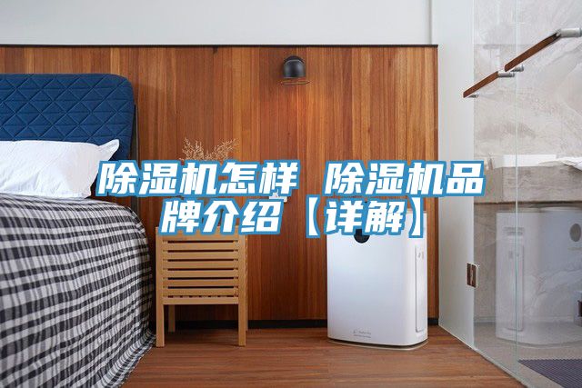 91看片网站怎樣 91看片网站品牌介紹【詳解】
