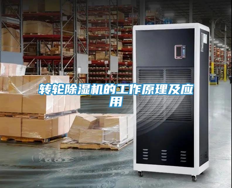 轉輪91看片网站的工作原理及應用