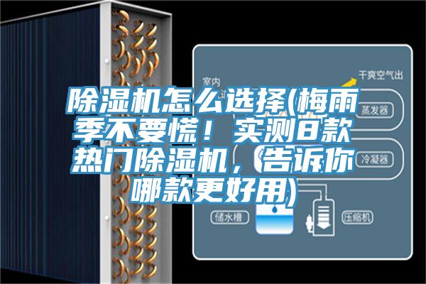 91看片网站怎麽選擇(梅雨季不要慌！實測8款熱門91看片网站，告訴你哪款更好用)