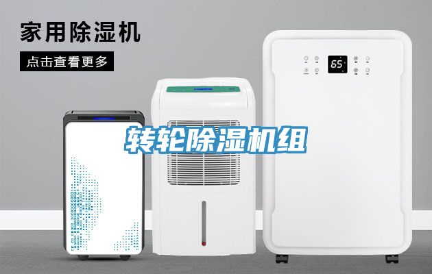 轉輪91看片网站組