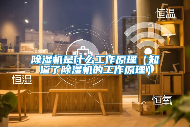91看片网站是什麽工作原理（知道了91看片网站的工作原理）