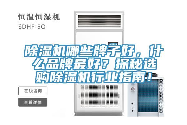 91看片网站哪些牌子好，什麽品牌最好？探秘選購91看片网站行業指南！