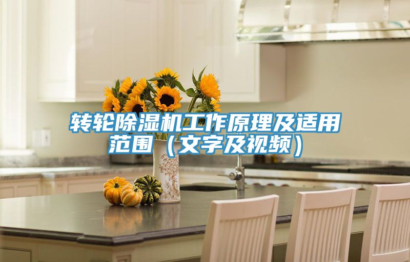 轉輪91看片网站工作原理及適用範圍（文字及視頻）