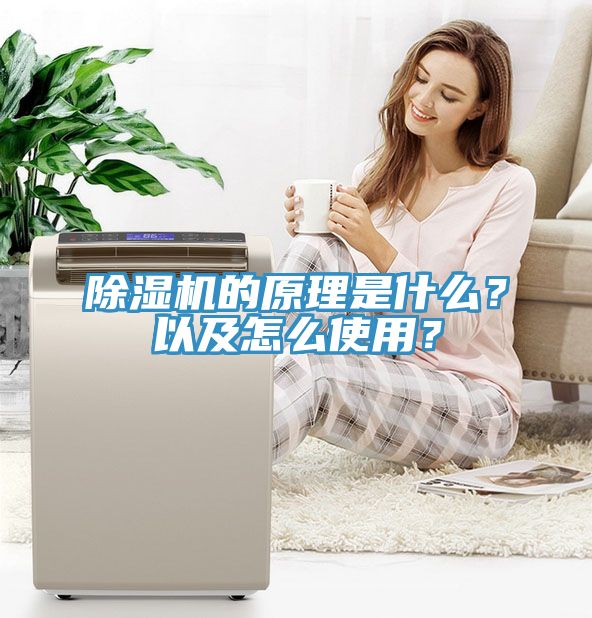 91看片网站的原理是什麽？以及怎麽使用？