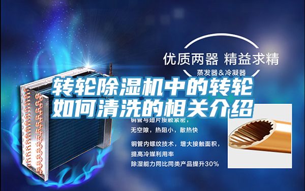 轉輪91看片网站中的轉輪如何清洗的相關介紹