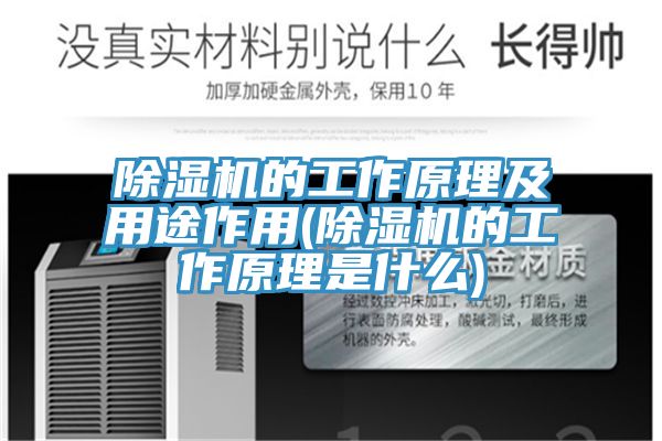 91看片网站的工作原理及用途作用(91看片网站的工作原理是什麽)