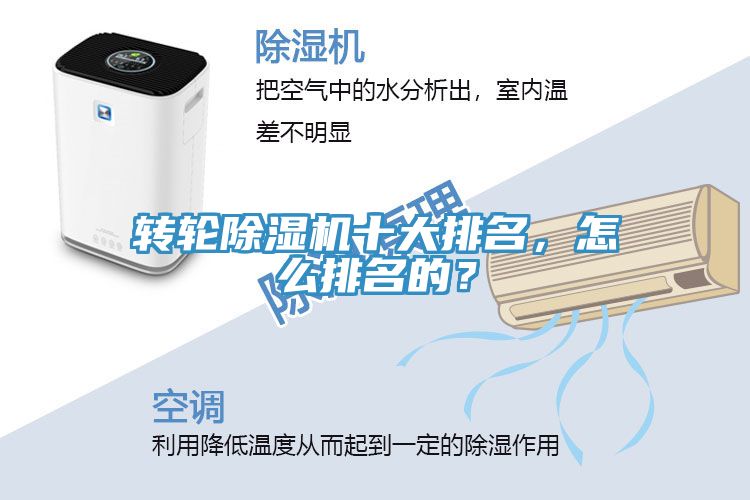 轉輪91看片网站十大排名，怎麽排名的？