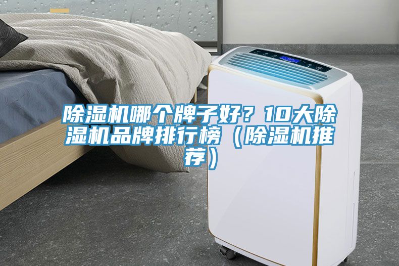 91看片网站哪個牌子好？10大91看片网站品牌排行榜（91看片网站推薦）