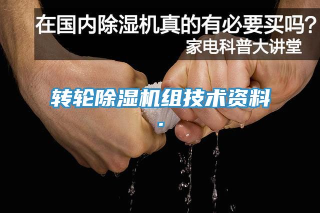 轉輪91看片网站組技術資料.