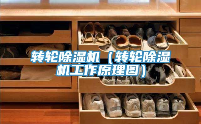 轉輪91看片网站（轉輪91看片网站工作原理圖）
