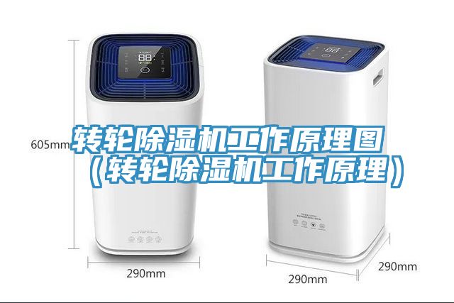轉輪91看片网站工作原理圖（轉輪91看片网站工作原理）