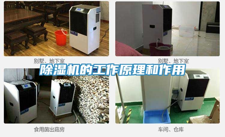 91看片网站的工作原理和作用