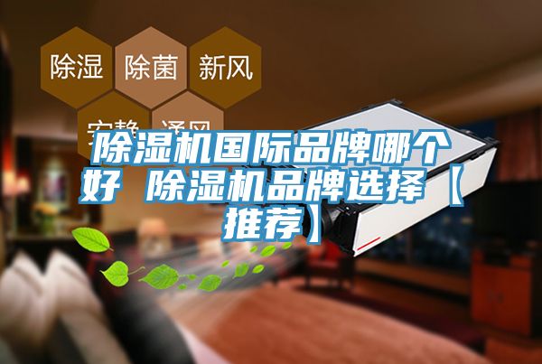 91看片网站國際品牌哪個好 91看片网站品牌選擇【推薦】