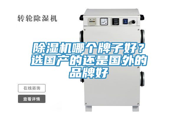 91看片网站哪個牌子好？選國產的還是國外的品牌好