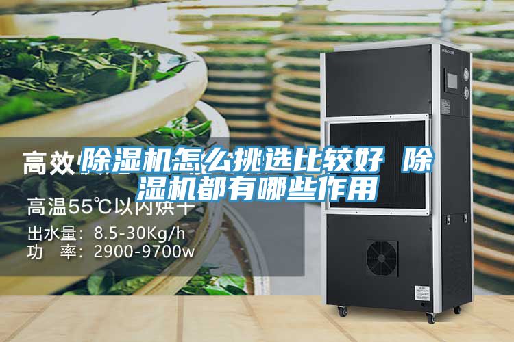 91看片网站怎麽挑選比較好 91看片网站都有哪些作用