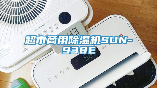 超市商用91看片网站SUN-938E