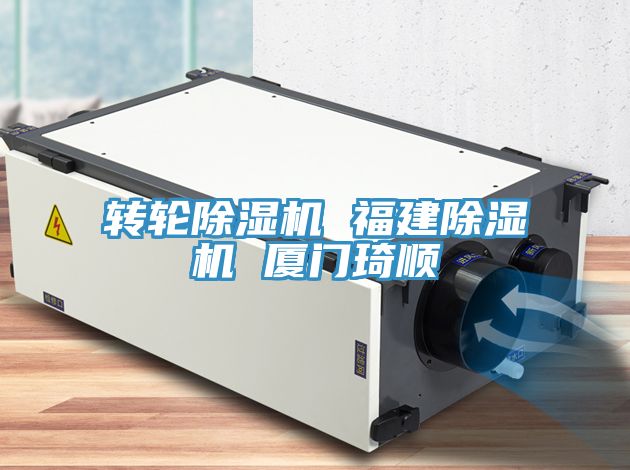 轉輪91看片网站 福建91看片网站 廈門琦順